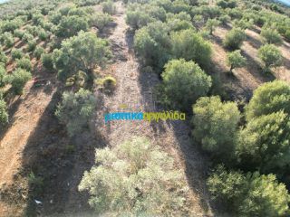 Αγροτεμάχια 2.992 τ.μ. για πώληση, Αργολίδα, Μιδέα-thumb-8