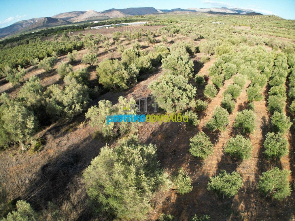 Αγροτεμάχια 2.992 τ.μ. προς πώληση, Αργολίδα, Μιδέα
