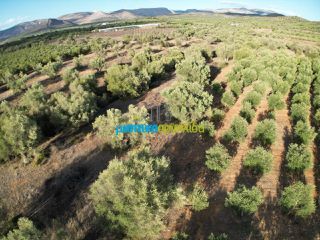 Αγροτεμάχια 2.992 τ.μ. για πώληση, Αργολίδα, Μιδέα-thumb-1