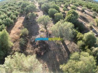 Αγροτεμάχια 2.992 τ.μ. για πώληση, Αργολίδα, Μιδέα-thumb-7