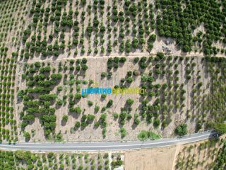 Land plot 5.000 sqm for sale, Argolis, Midea-thumb-4