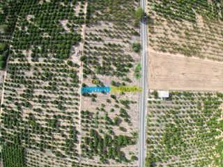 Land plot 5.000 sqm for sale, Argolis, Midea-thumb-2