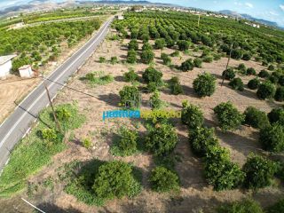 Land plot 5.000 sqm for sale, Argolis, Midea-thumb-19