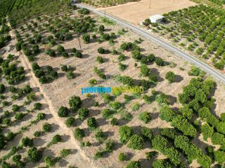 Land plot 5.000 sqm for sale, Argolis, Midea-thumb-12