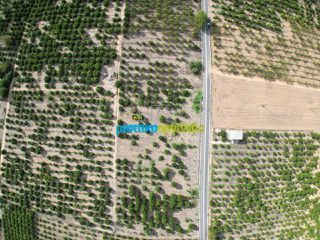 Land plot 5.000 sqm for sale, Argolis, Midea-thumb-1