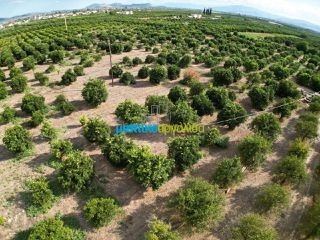 Land plot 5.000 sqm for sale, Argolis, Midea-thumb-18