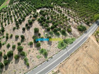 Land plot 5.000 sqm for sale, Argolis, Midea-thumb-7