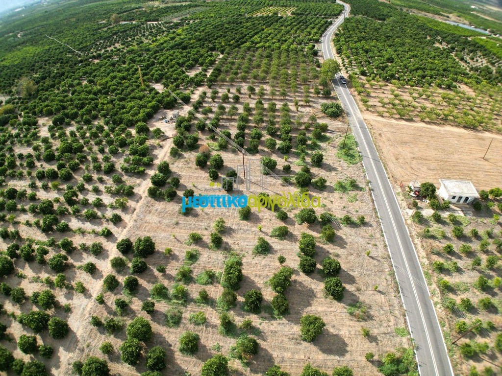 Οικόπεδο 5.000 τ.μ. για πώληση, Αργολίδα, Μιδέα