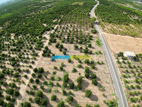 Οικόπεδο 5.000τ.μ. για πώληση-Μιδέα