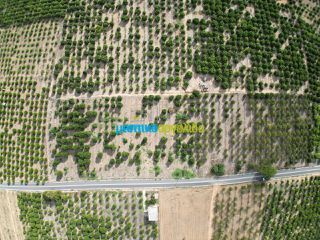 Land plot 5.000 sqm for sale, Argolis, Midea-thumb-3