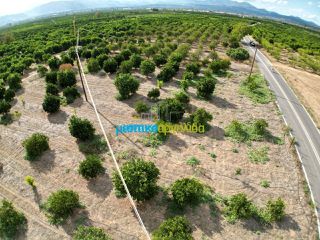 Land plot 5.000 sqm for sale, Argolis, Midea-thumb-14