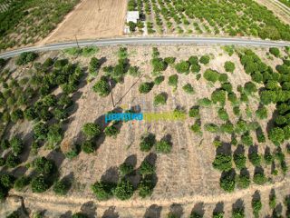 Land plot 5.000 sqm for sale, Argolis, Midea-thumb-9
