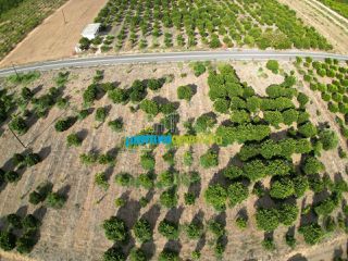 Land plot 5.000 sqm for sale, Argolis, Midea-thumb-10