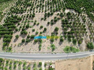 Land plot 5.000 sqm for sale, Argolis, Midea-thumb-5