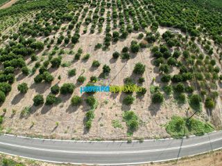 Land plot 5.000 sqm for sale, Argolis, Midea-thumb-6