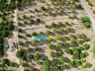 Land plot 5.000 sqm for sale, Argolis, Midea-thumb-13
