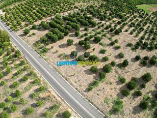 Land plot 5.000 sqm for sale, Argolis, Midea-thumb-8