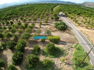 Land plot 5.000 sqm for sale, Argolis, Midea-thumb-15
