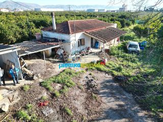 Μονοκατοικία 72 τ.μ. για πώληση, Αργολίδα, Άργος-thumb-6