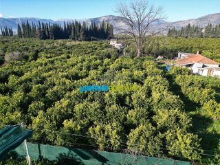 Μονοκατοικία 72 τ.μ. για πώληση, Αργολίδα, Άργος-thumb-3