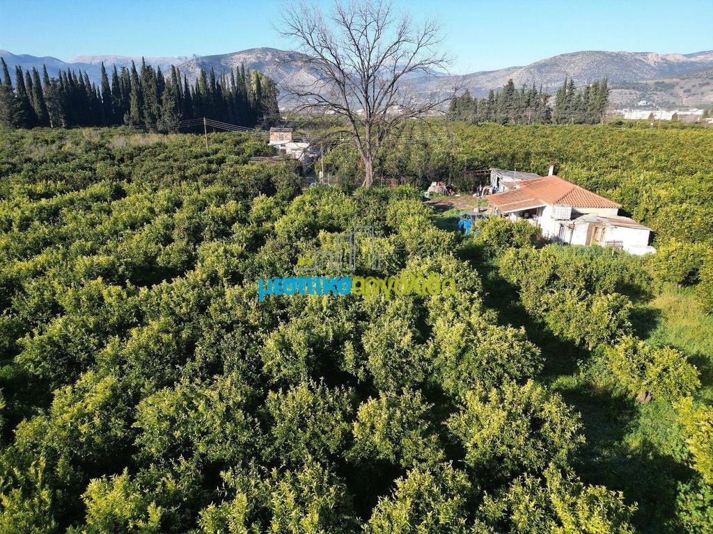 Μονοκατοικία 72 τ.μ. προς πώληση, Αργολίδα, Άργος