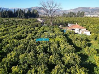 Μονοκατοικία 72 τ.μ. για πώληση, Αργολίδα, Άργος-thumb-2