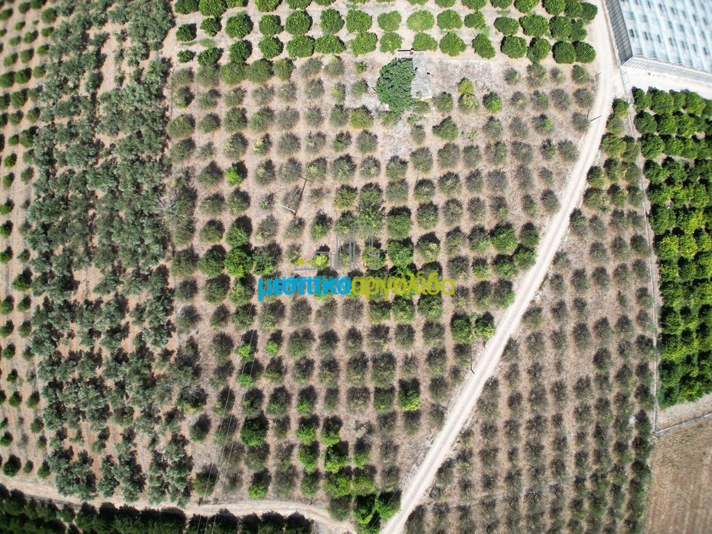 Parcel 7.930 sqm for sale, Argolis, Argos