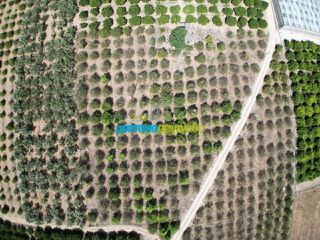 Αγροτεμάχια 7.930 τ.μ. προς πώληση, Αργολίδα, Άργος-thumb-4