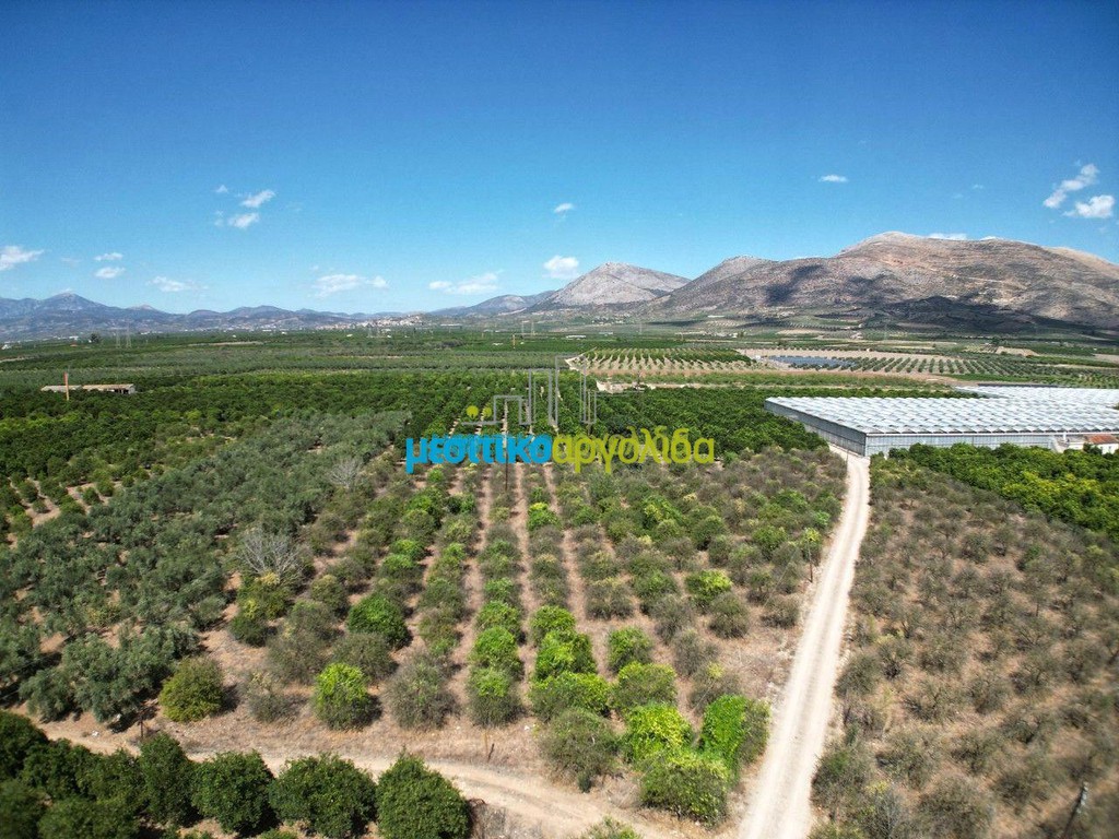 Parcel 7.930 sqm for sale, Argolis, Argos