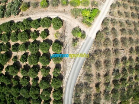 Αγροτεμάχια 7.930τ.μ. για πώληση-Άργος