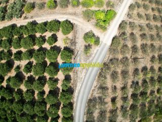 Αγροτεμάχια 7.930 τ.μ. για πώληση