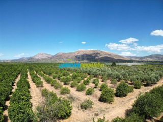 Αγροτεμάχια 7.930 τ.μ. προς πώληση, Αργολίδα, Άργος-thumb-9