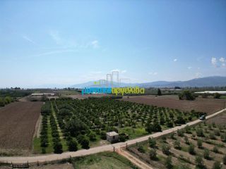 Οικόπεδο 10.543 τ.μ. για πώληση, Αργολίδα, Νέα Κίος-thumb-5