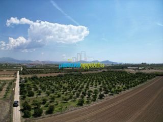 Οικόπεδο 10.543 τ.μ. για πώληση, Αργολίδα, Νέα Κίος-thumb-6