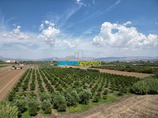 Οικόπεδο 10.543 τ.μ. για πώληση, Αργολίδα, Νέα Κίος-thumb-2