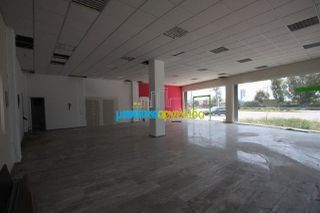 Κατάστημα 460 τ.μ. για πώληση, Αργολίδα, Άργος-thumb-7