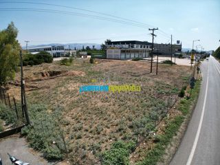 Οικόπεδο 4.004 τ.μ. για πώληση, Αργολίδα, Άργος-thumb-5