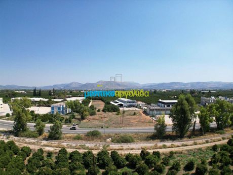 Οικόπεδο 4.004τ.μ. για πώληση-Άργος