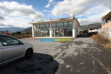 Επιχειρηματικό κτίριο 250 τ.μ. για ενοικίαση