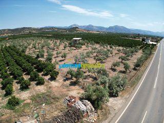 Μονοκατοικία 100 τ.μ. για πώληση