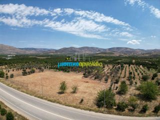 Οικόπεδο 20.000 τ.μ. για πώληση, Αργολίδα, Μιδέα-thumb-3
