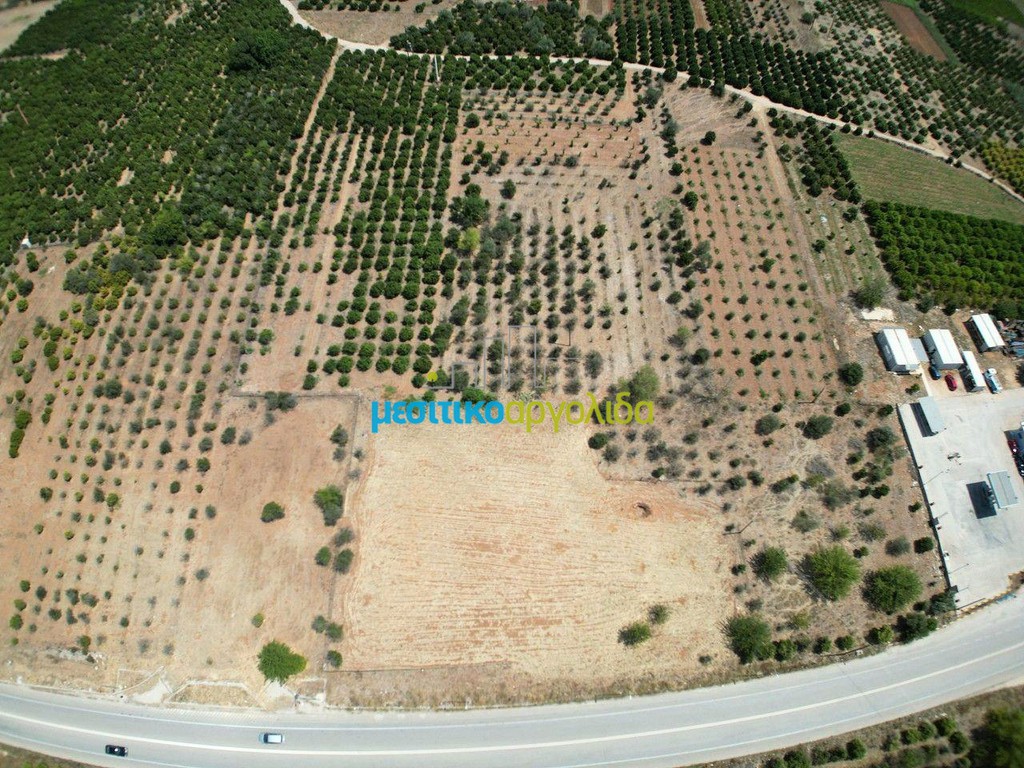 Οικόπεδο 20.000 τ.μ. για πώληση, Αργολίδα, Μιδέα