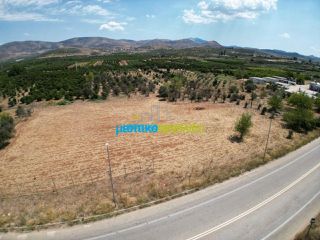 Οικόπεδο 20.000 τ.μ. για πώληση, Αργολίδα, Μιδέα-thumb-4