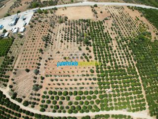 Οικόπεδο 20.000 τ.μ. για πώληση, Αργολίδα, Μιδέα-thumb-2