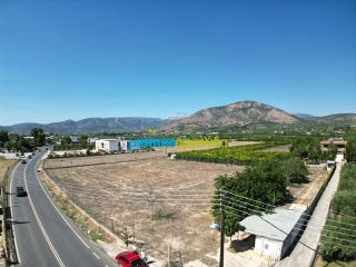 Αγροτεμάχια 5.000 τ.μ. για ενοικίαση, Αργολίδα, Άργος-thumb-5