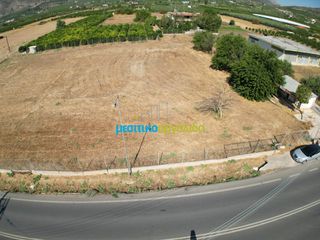 Αγροτεμάχια 5.000 τ.μ. για ενοικίαση, Αργολίδα, Άργος-thumb-3