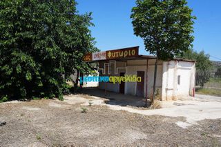 Αγροτεμάχια 5.000 τ.μ. για ενοικίαση, Αργολίδα, Άργος-thumb-7