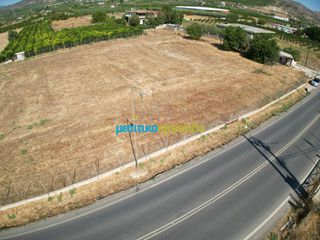 Αγροτεμάχια 5.000 τ.μ. για ενοικίαση, Αργολίδα, Άργος-thumb-2