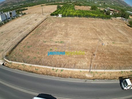 Parcel 5.000sqm for rent-Argos