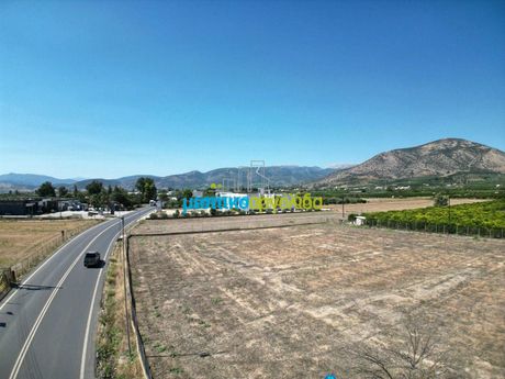 Αγροτεμάχια 5.000 τ.μ. για ενοικίαση